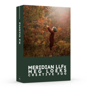 Meridian LLFx - Meg Loeks - Creative Fog Meridian LLFx - Meg Loeks - Creative Fog