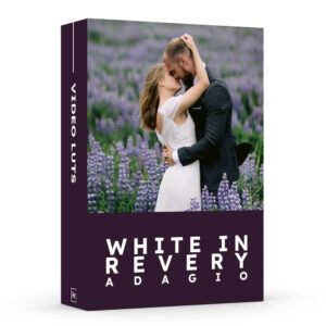 GAMUT - White In Revery - Adagio GAMUT - White In Revery - Adagio
